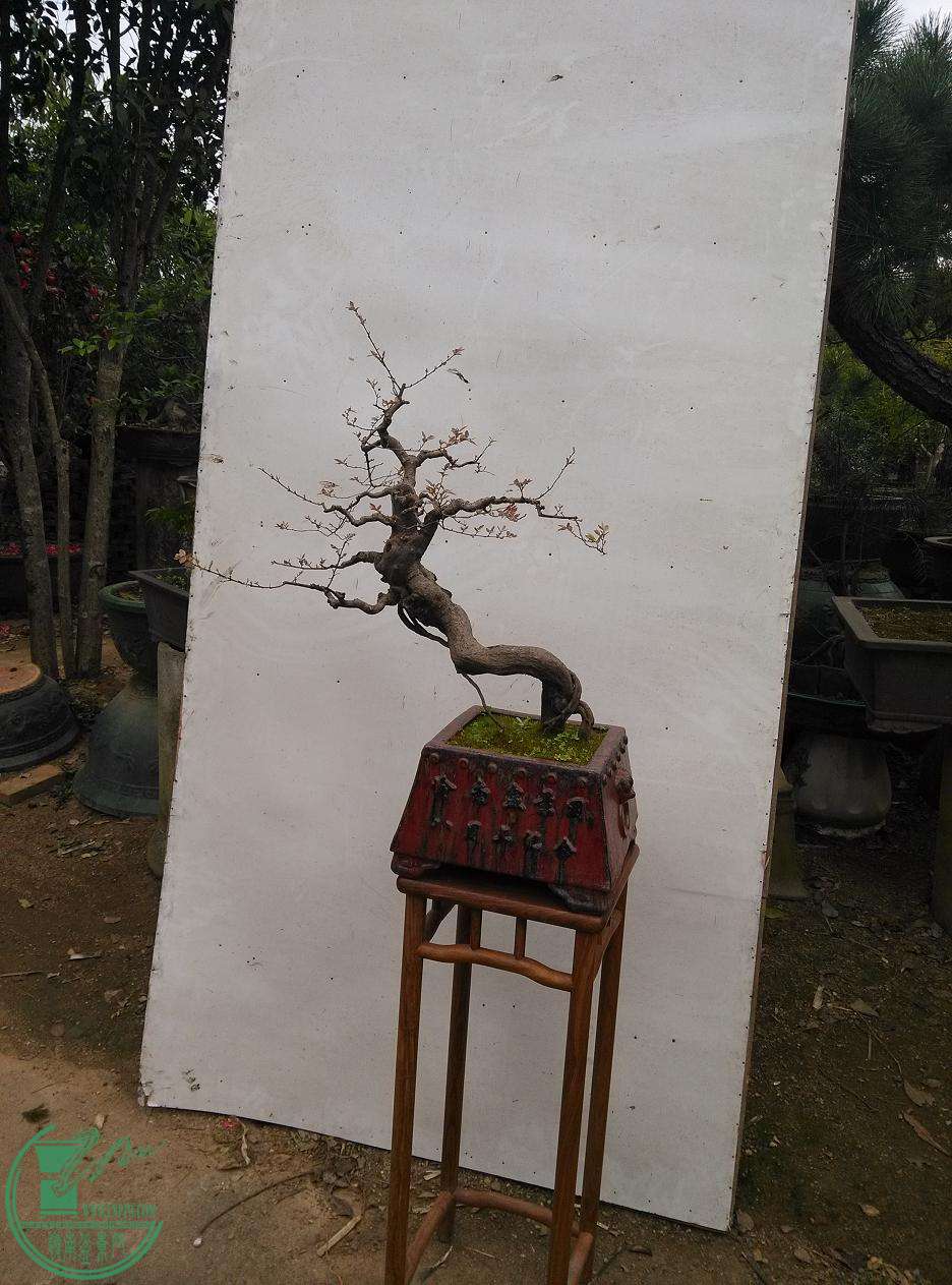 201.jpg