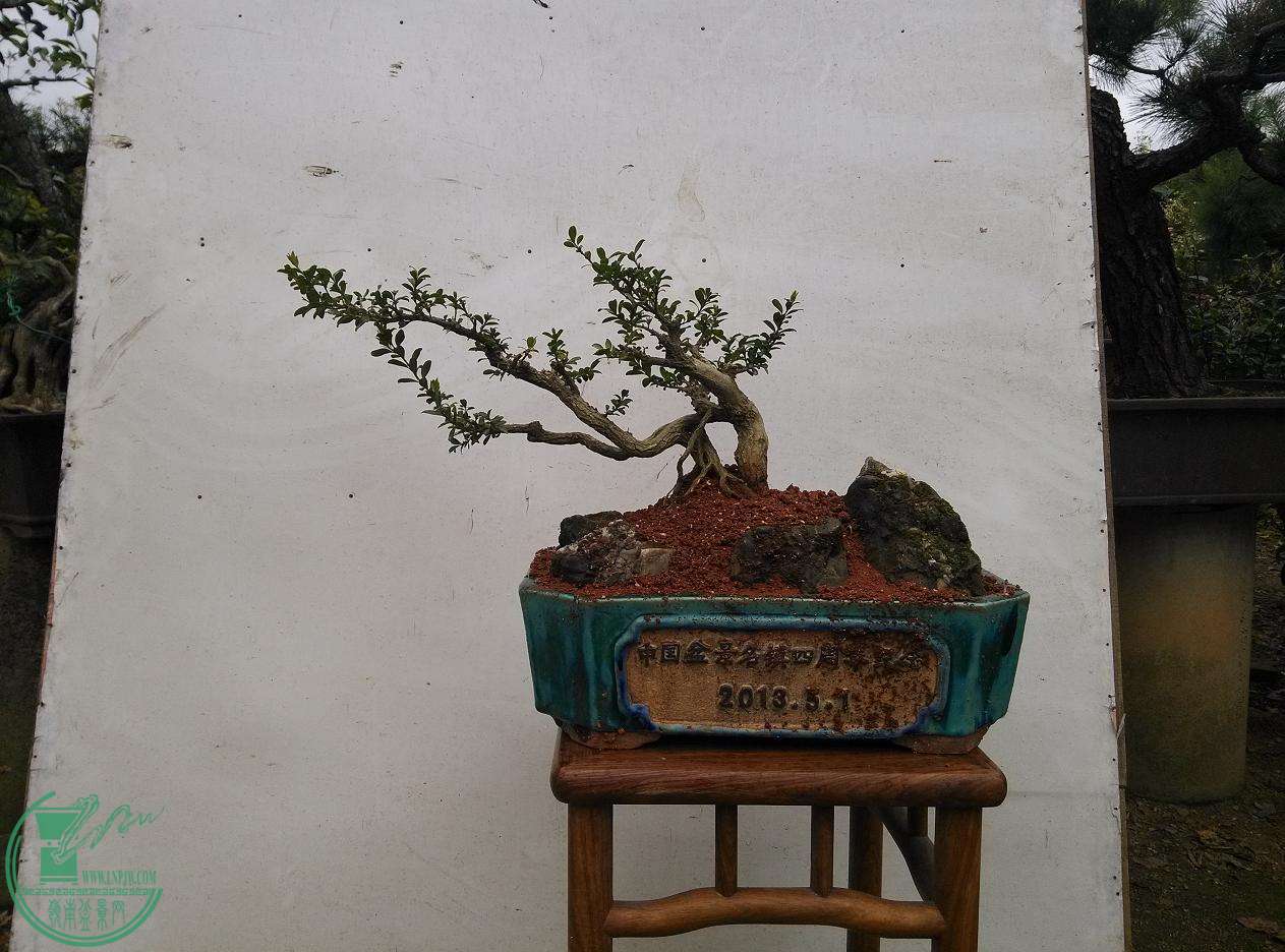 104.jpg