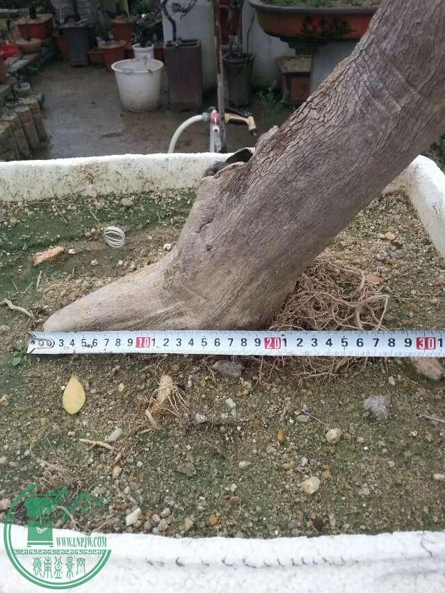 psb3.jpeg