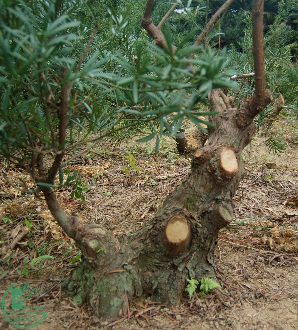 14.JPG