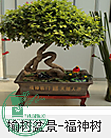 QQͼ20141110112928.png