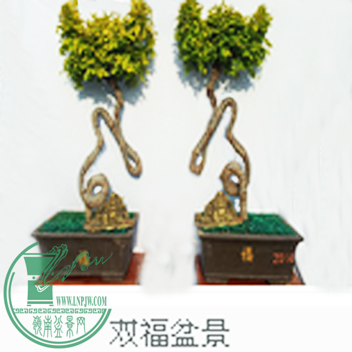 QQͼ20141110112948.png