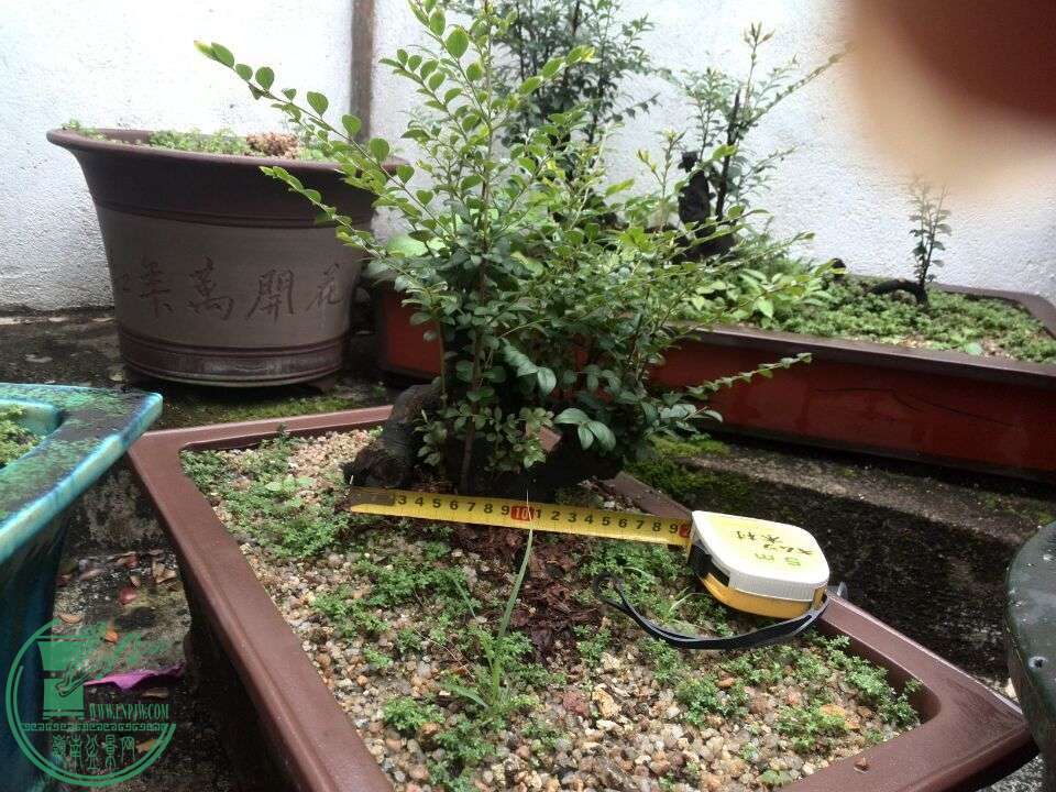 QQͼƬ20160312190912.jpg