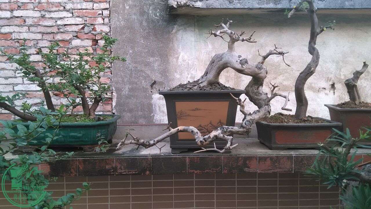 QQͼƬ20160312211149.jpg
