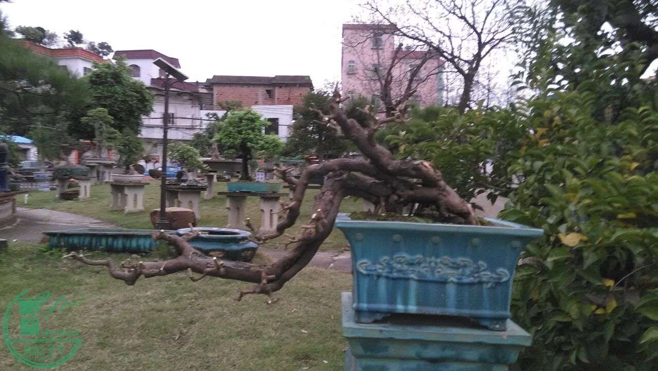 QQͼƬ20160312211341.jpg