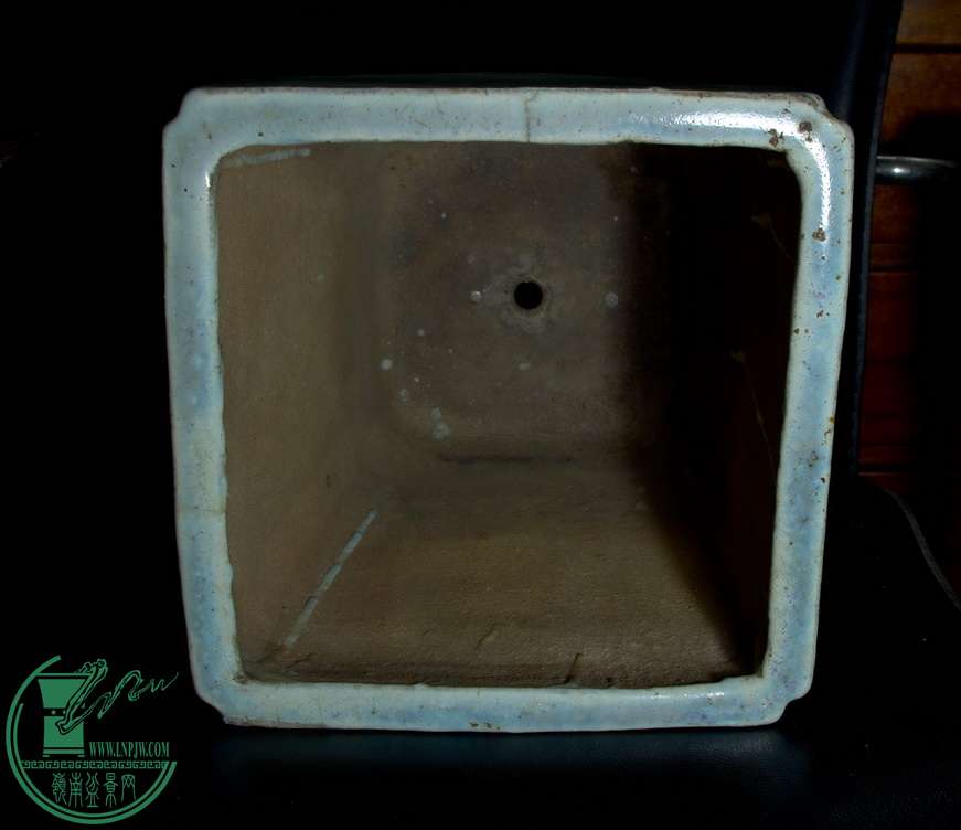 IMGP8815.jpg