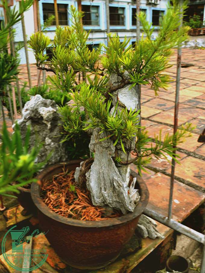 2012.7.23.jpg
