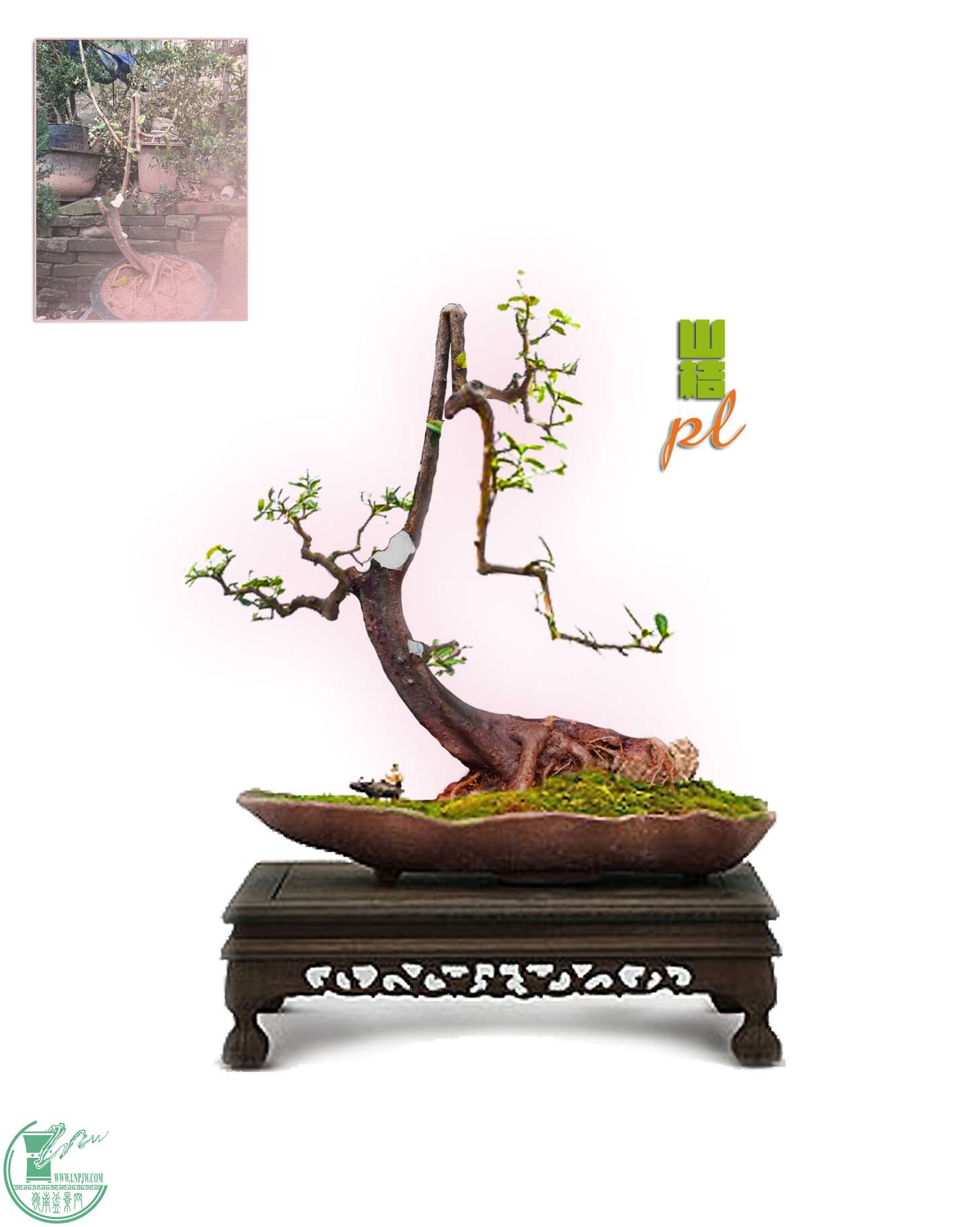 ˸ƽ1.jpg