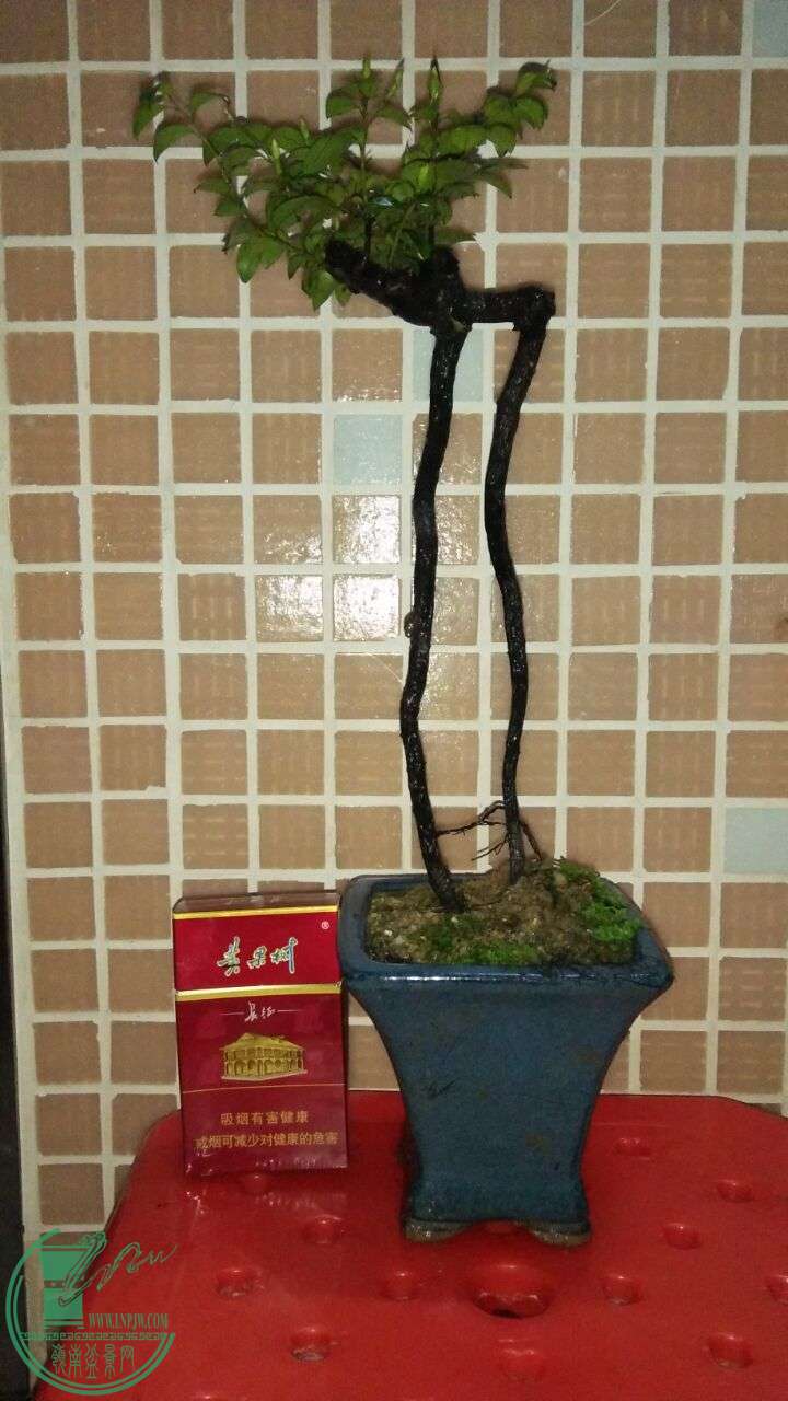QQͼƬ20160313193203.jpg
