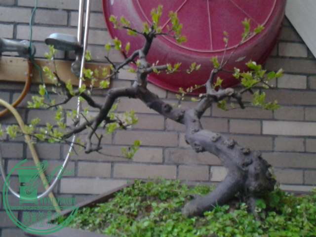 20160311_183549.jpg