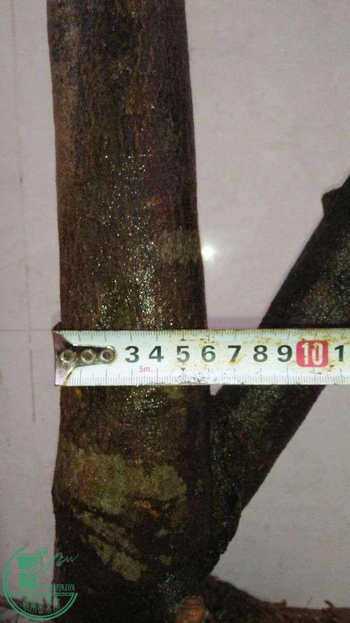QQͼƬ20160314190729.jpg