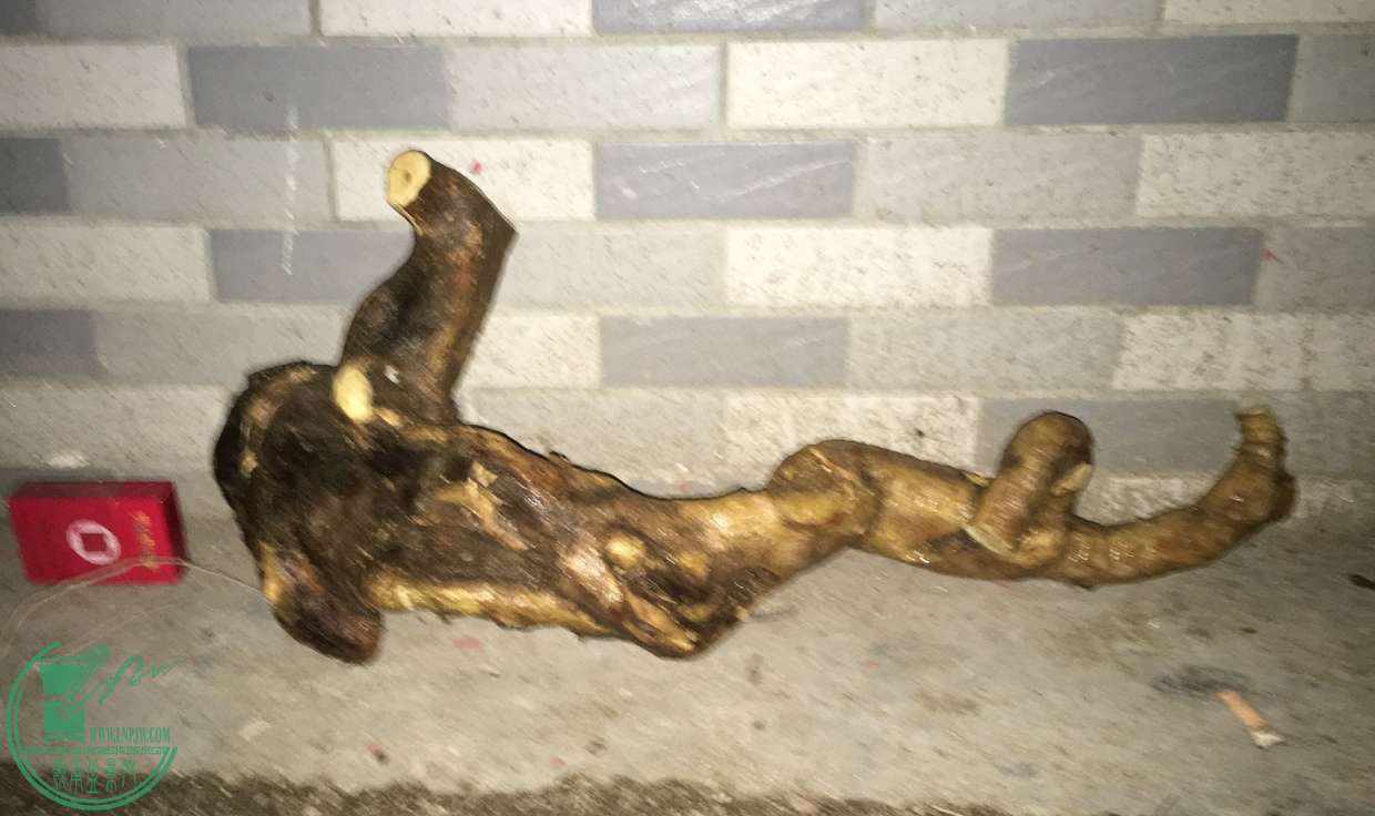 image.jpeg