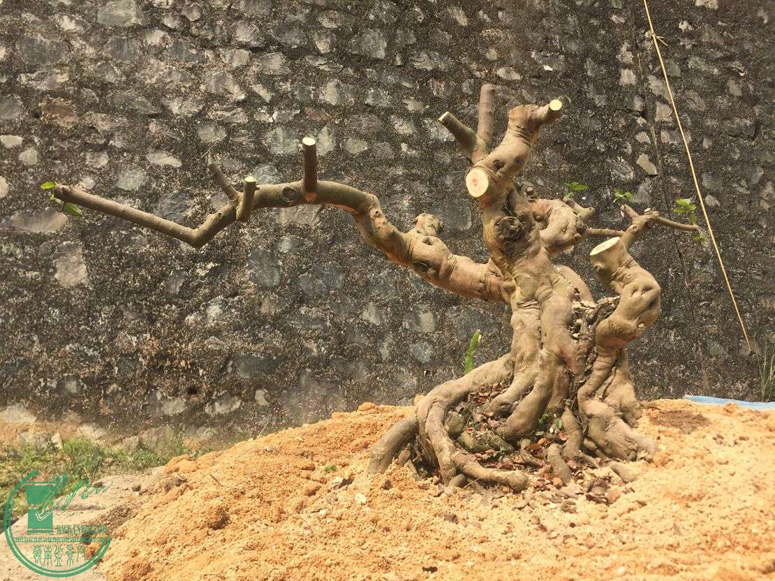 ,