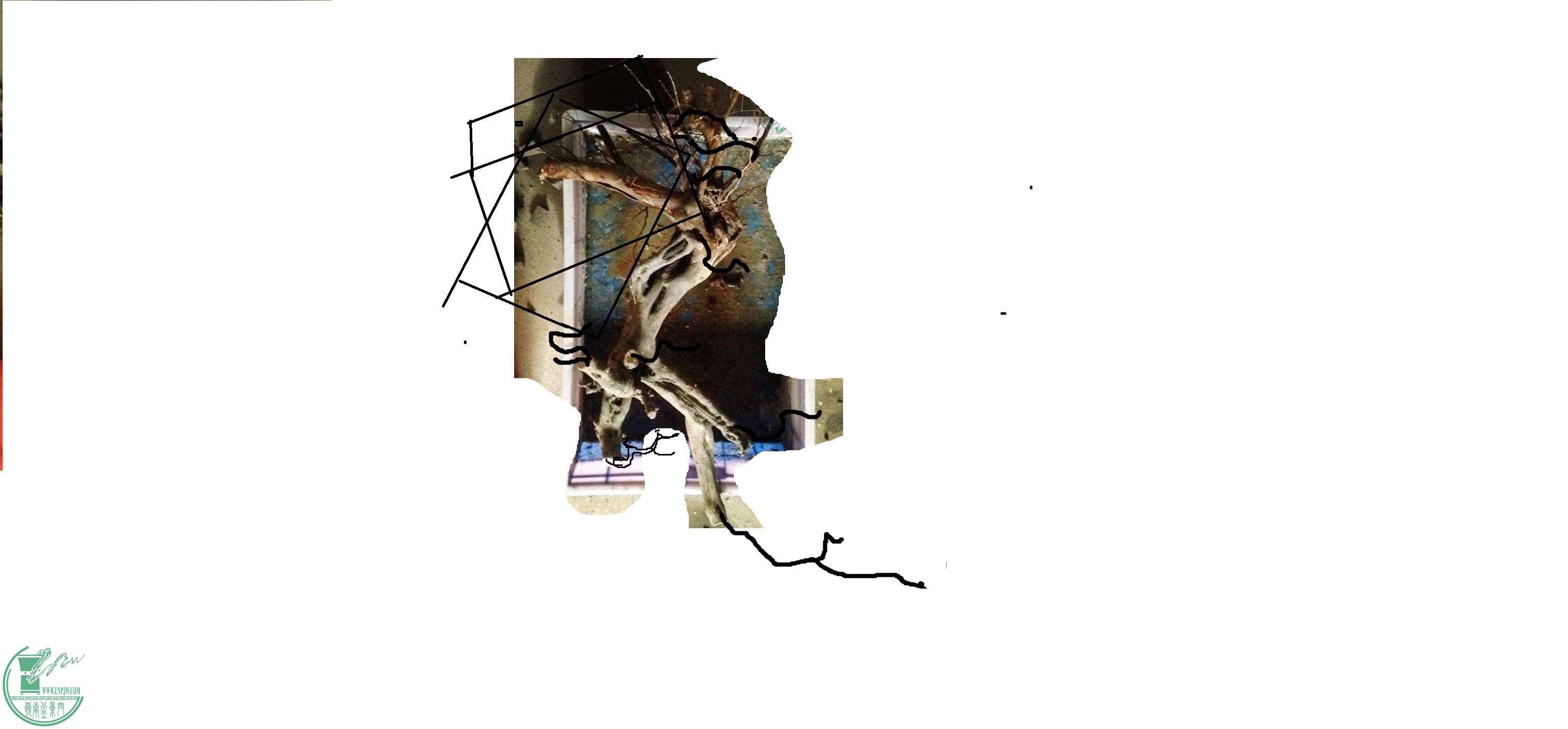 73bdb67ce1a64bfa4672adbd5d0f430f_163553tqhbb2nnppcn9ti2.jpg.thumb.jpg