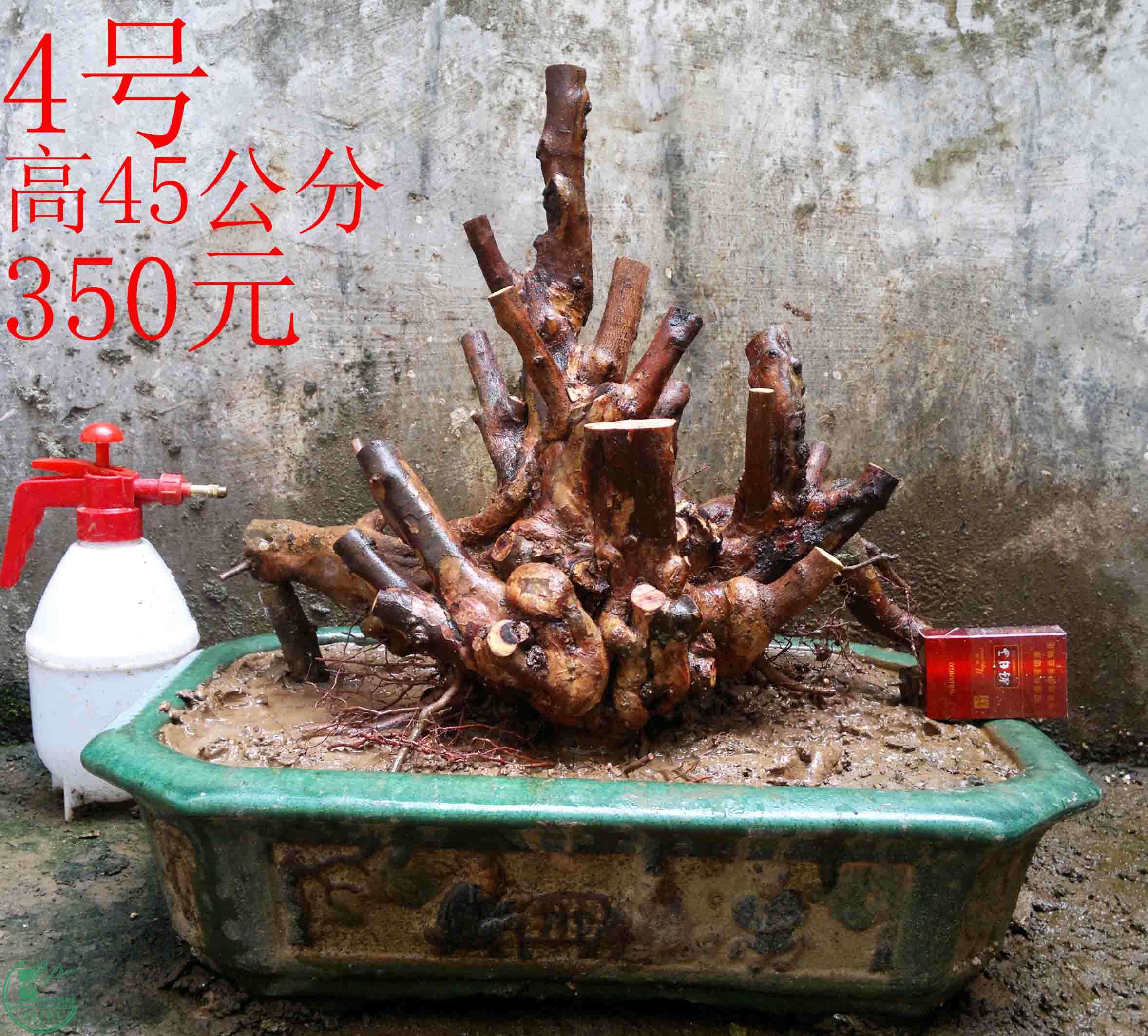 2016031612956.jpg