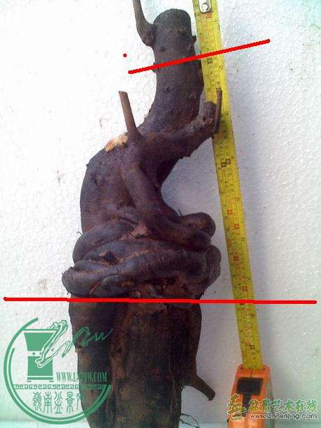 09093016201dae8d01b8183530.jpg