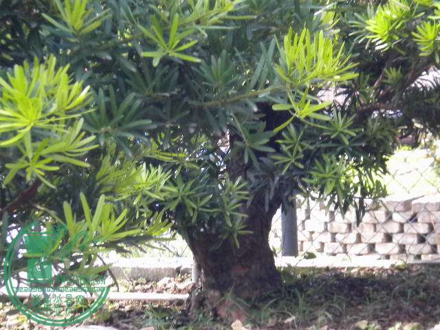 DSCN8320.JPG