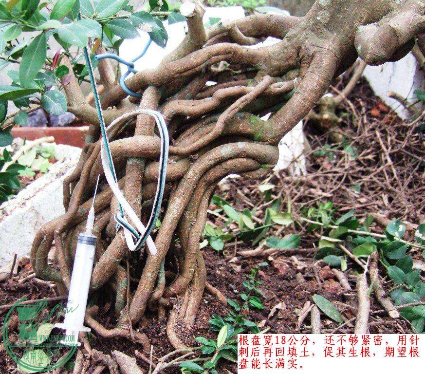 DSCF7576.JPG