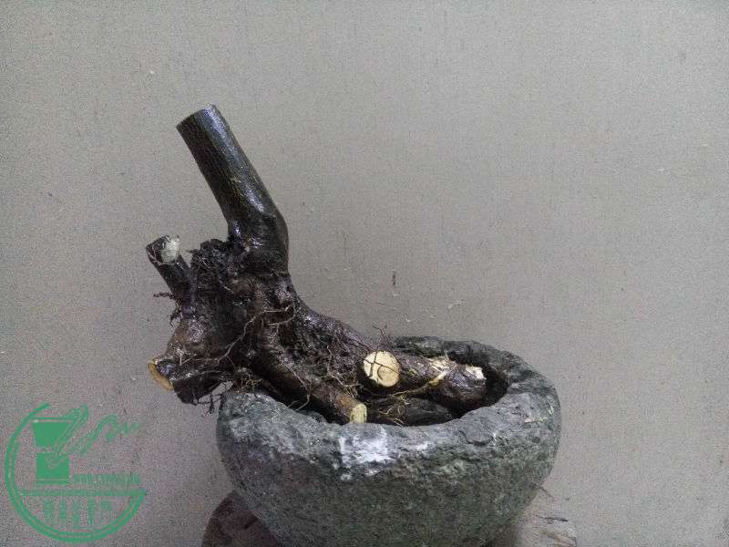767144