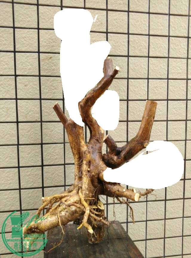 090127zuu67jrr3gjoppfg.jpg.thumb.jpg