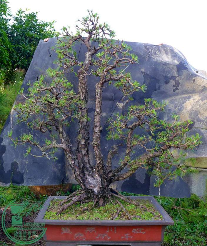 P1110723____.jpg