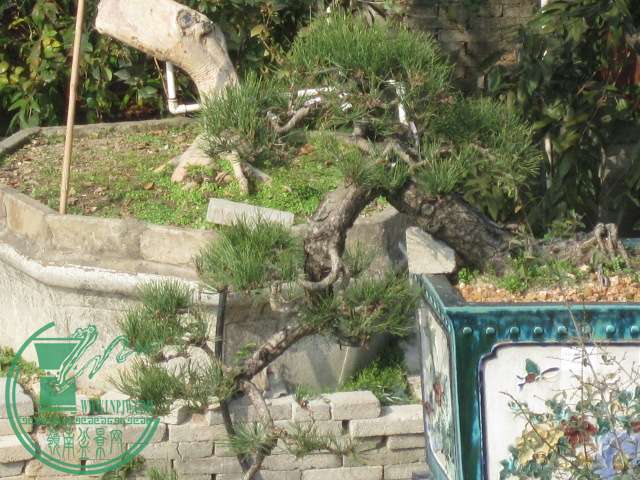 IMG_2187.JPG