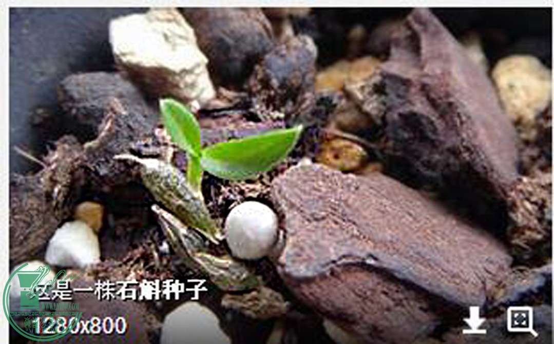 QQͼ20160324135201.jpg