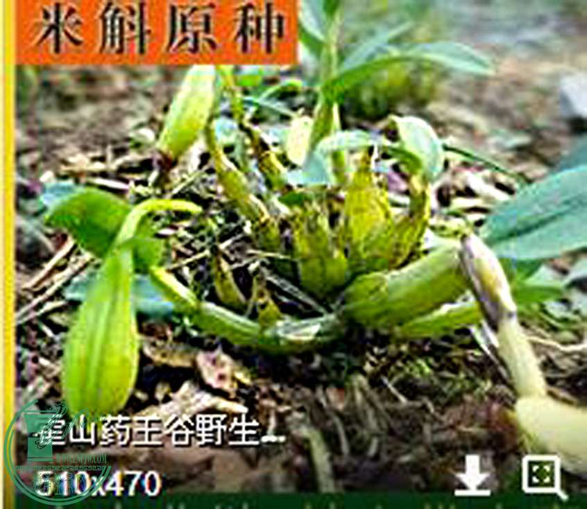 QQͼ20160324135331.jpg