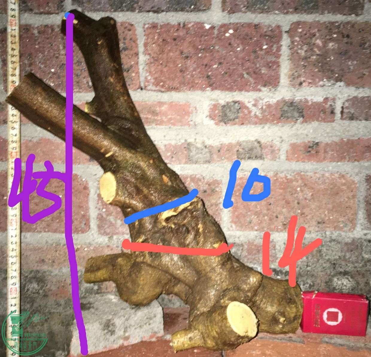 image.jpeg
