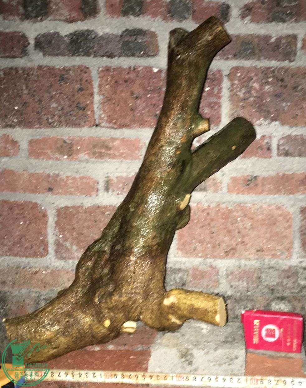 image.jpeg