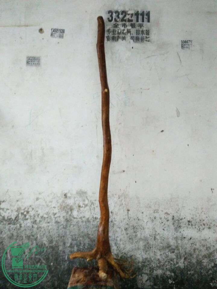 QQͼƬ20160330200125.jpg