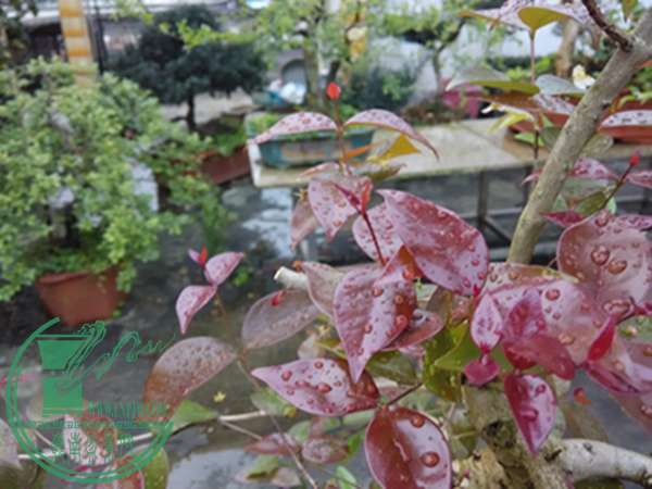 IMG_20160328_180733.jpg