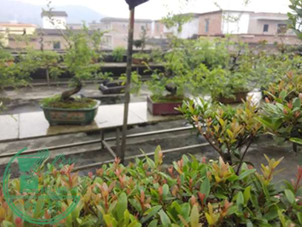 IMG_20160328_180049.jpg