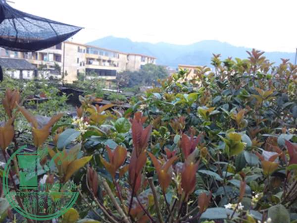 IMG_20160328_180704.jpg