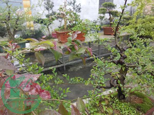 IMG_20160328_175630.jpg