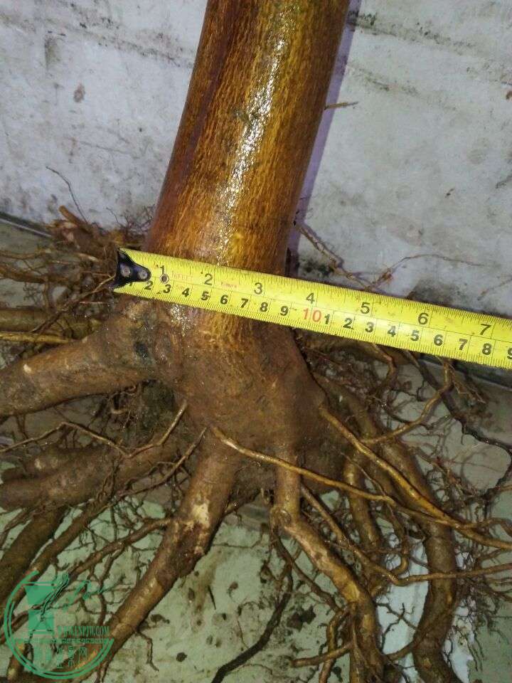 QQͼƬ20160402203427.jpg
