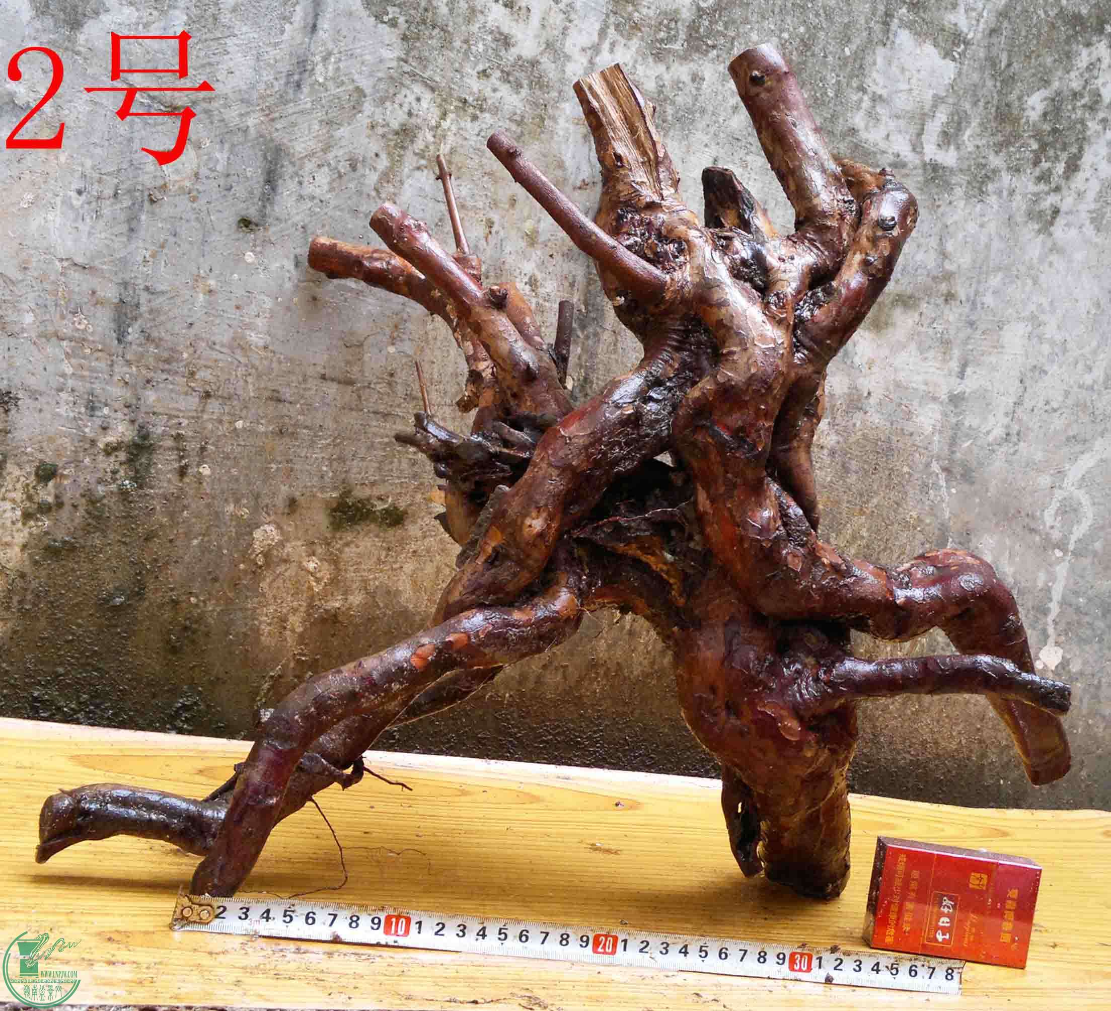 2016040314250.jpg