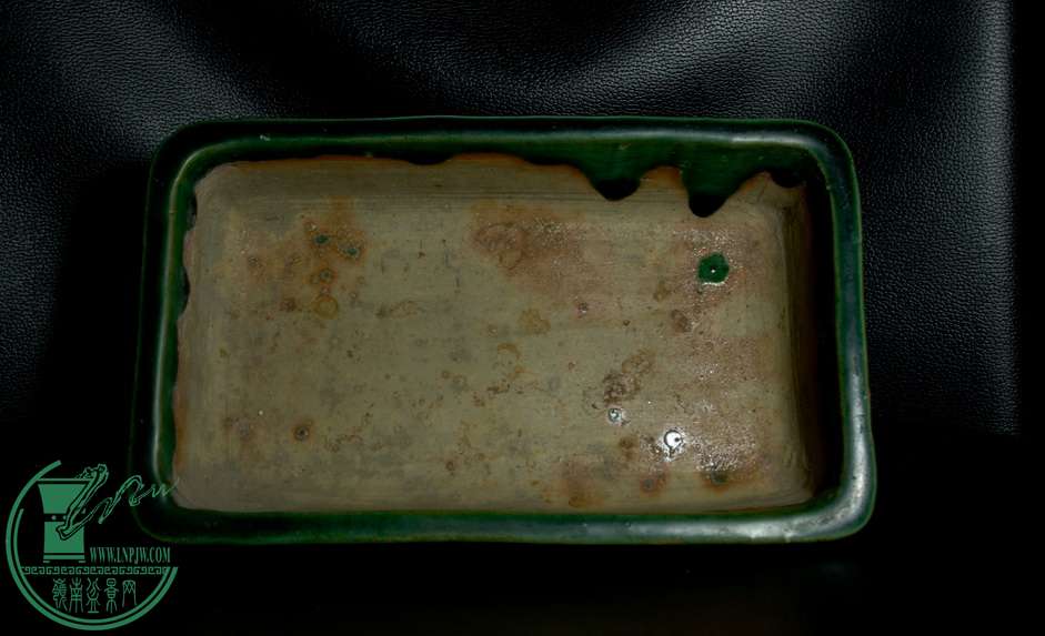 IMGP9004.jpg
