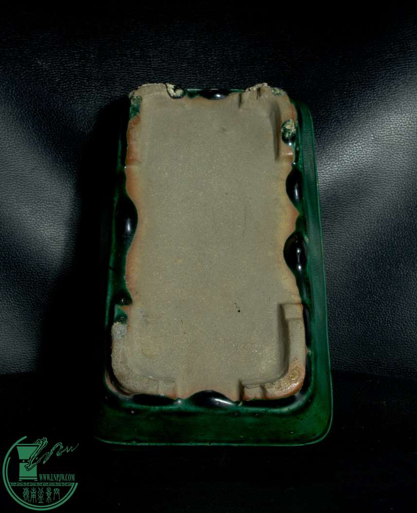 IMGP9005.jpg