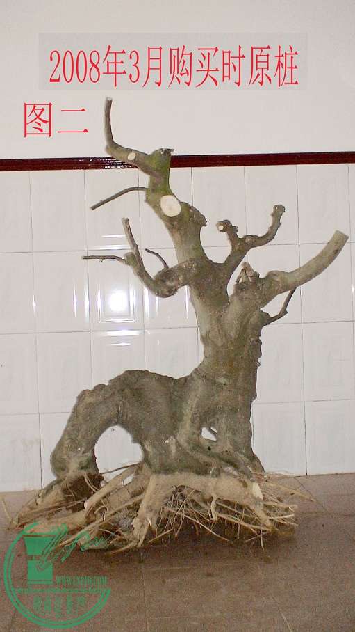 02.JPG