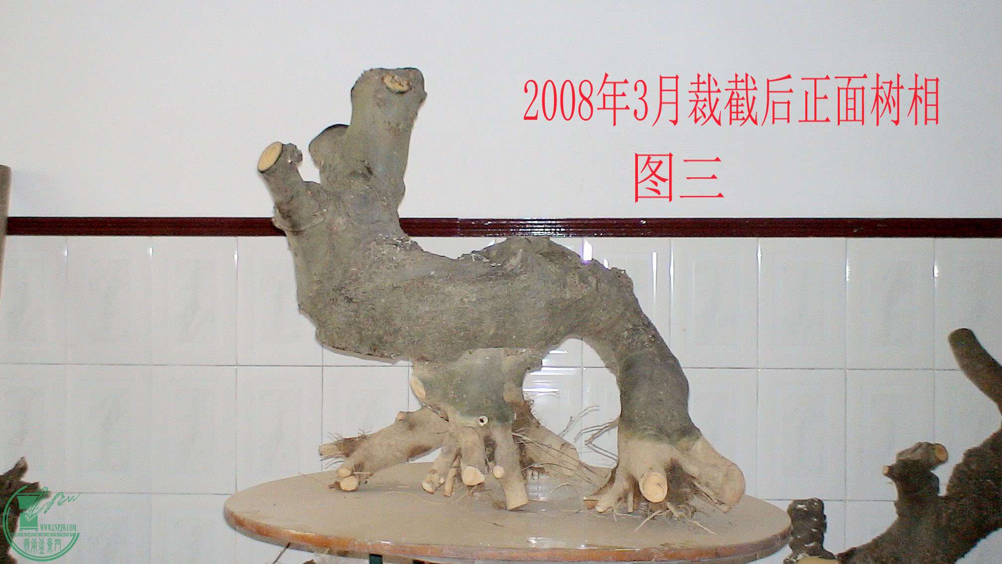 03.JPG