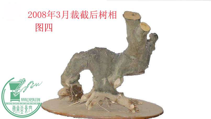 04.JPG