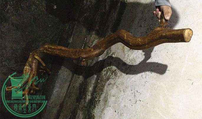 3_.jpg