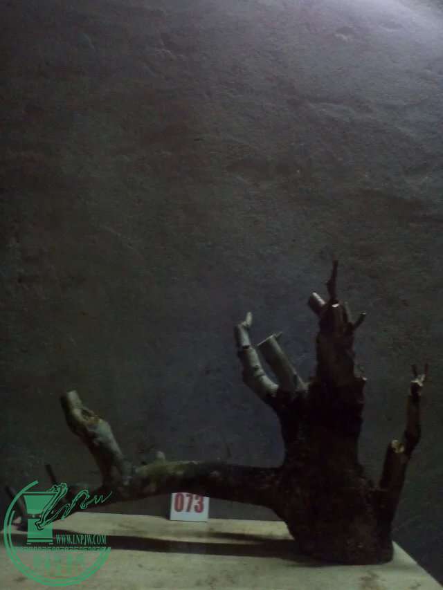 psb (98).jpg