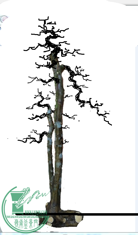 QQͼƬ20160410221735.png