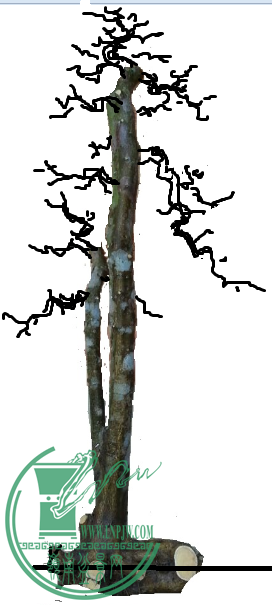QQͼƬ20160410215943.png