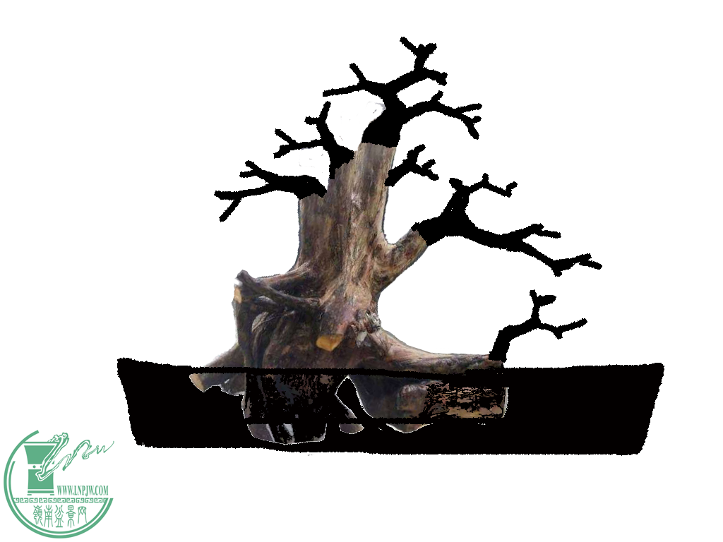 ޱ.png