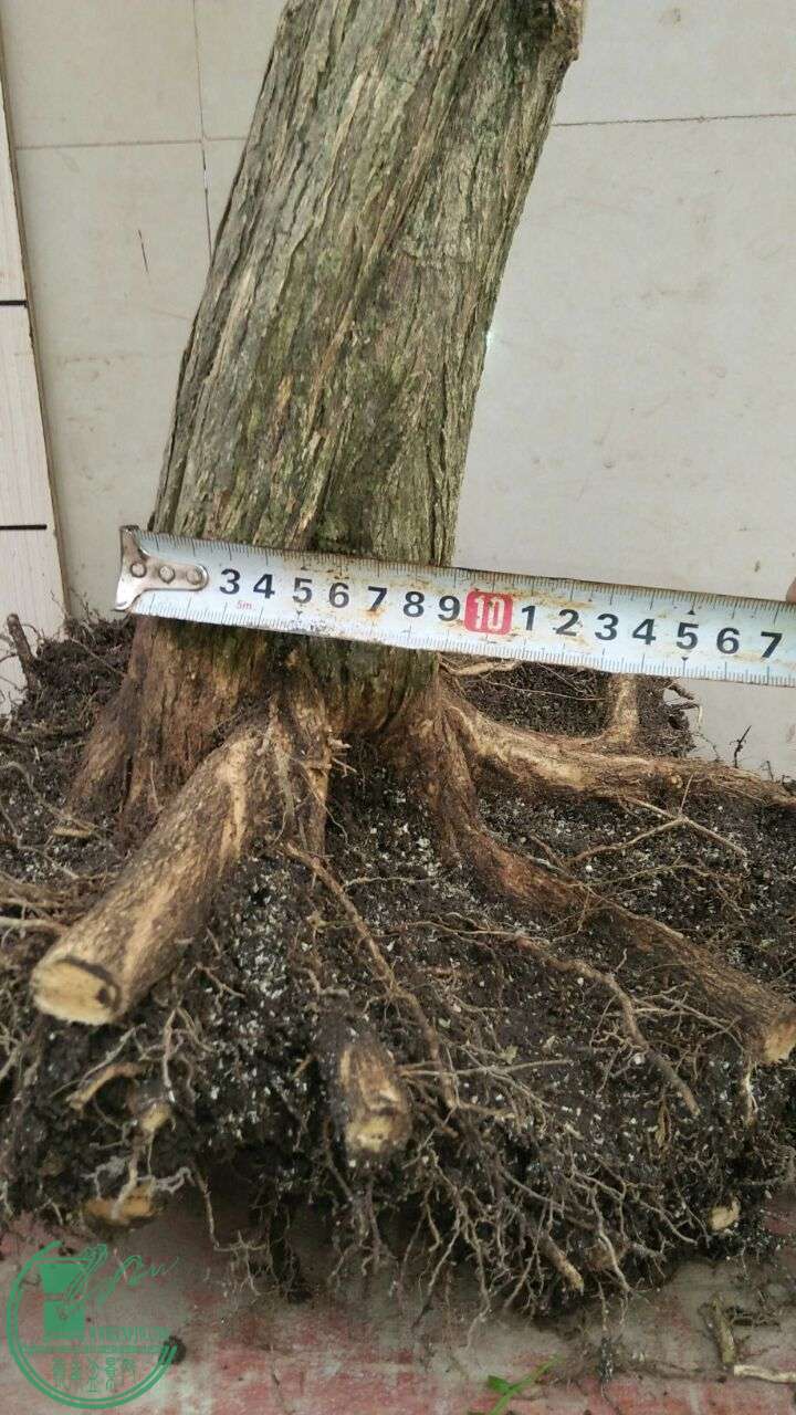 QQͼƬ20160417202223.jpg