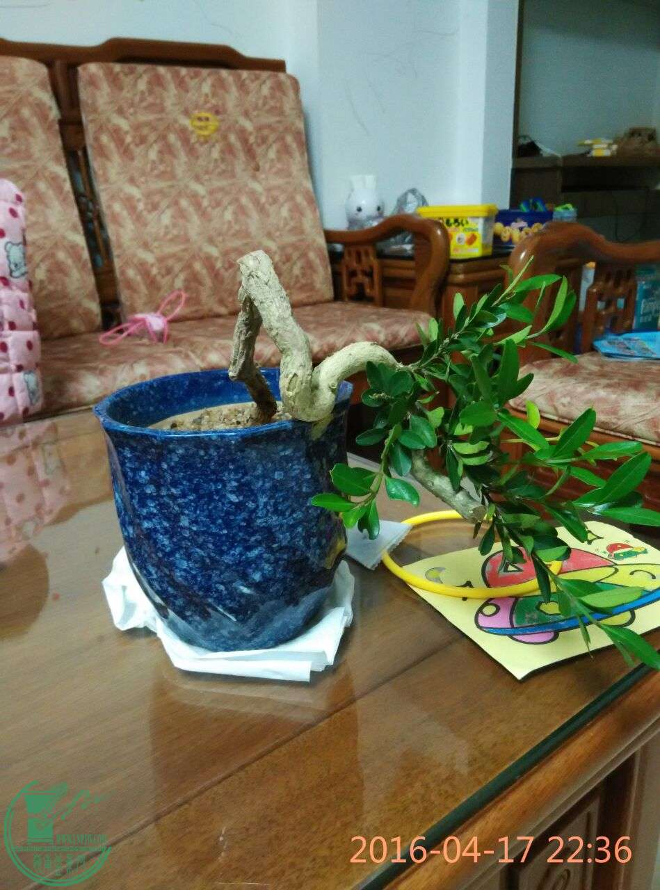 QQͼƬ20160417224407.jpg