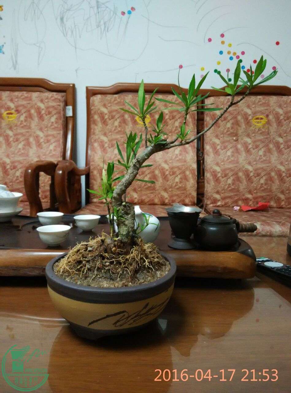 QQͼƬ20160417224433.jpg